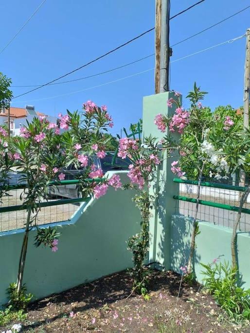 Lovely Guesthouse On The Beach Agia Anna  Exterior foto