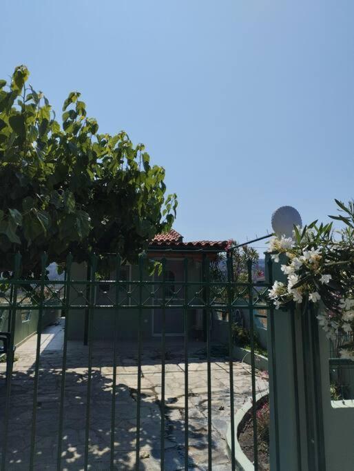 Lovely Guesthouse On The Beach Agia Anna  Exterior foto